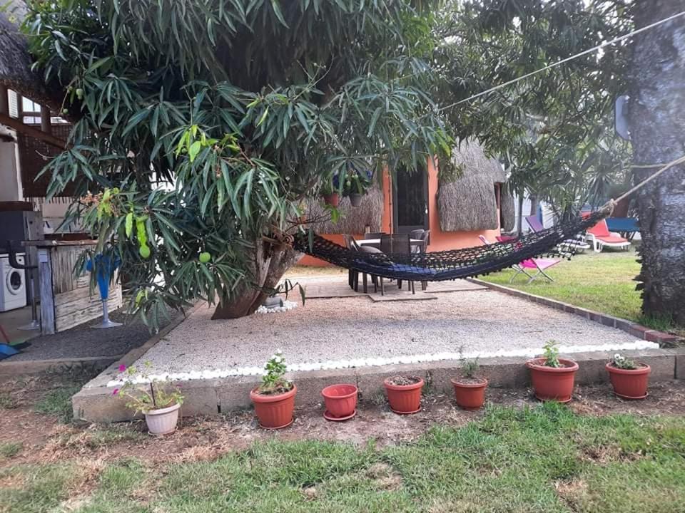 Cazhibiscus Bed & Breakfast ทรู โอซ์ บิชส์ ภายนอก รูปภาพ