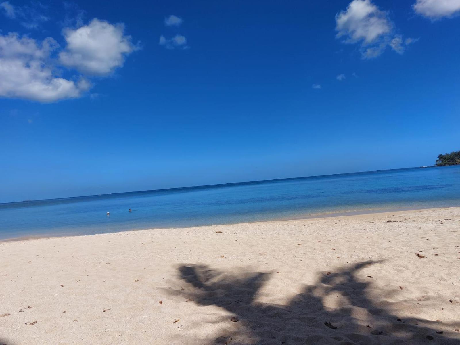 Cazhibiscus Bed & Breakfast ทรู โอซ์ บิชส์ ภายนอก รูปภาพ