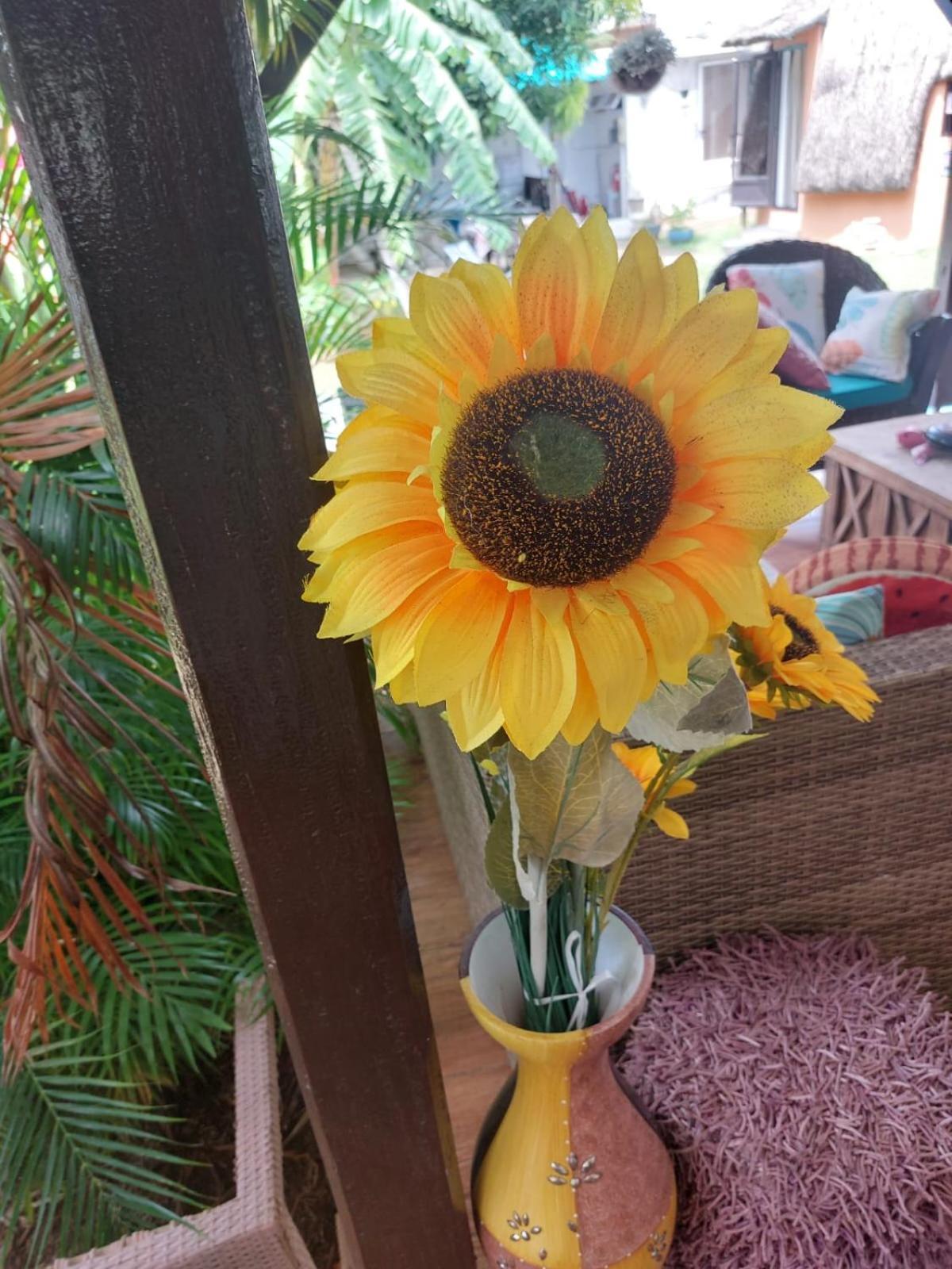 Cazhibiscus Bed & Breakfast ทรู โอซ์ บิชส์ ภายนอก รูปภาพ